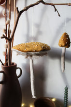 Mini Velvet Mushrooms