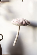 Flat top mushrooms * SAMPLE SALE*