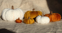 BOUCLÉ Pumpkins in Warm Beige